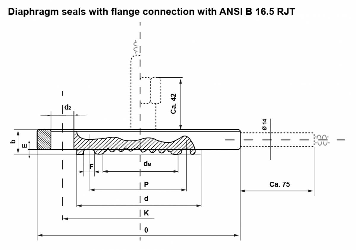 Diaphragm seals with flange connection with ANSI B 16.5 RJT